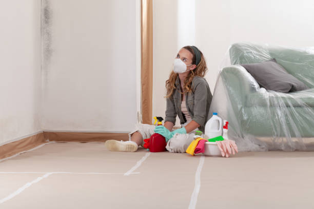Reliable Commercial Mold Remediation contractor in McQueeney, TX by Car Mold Remediation